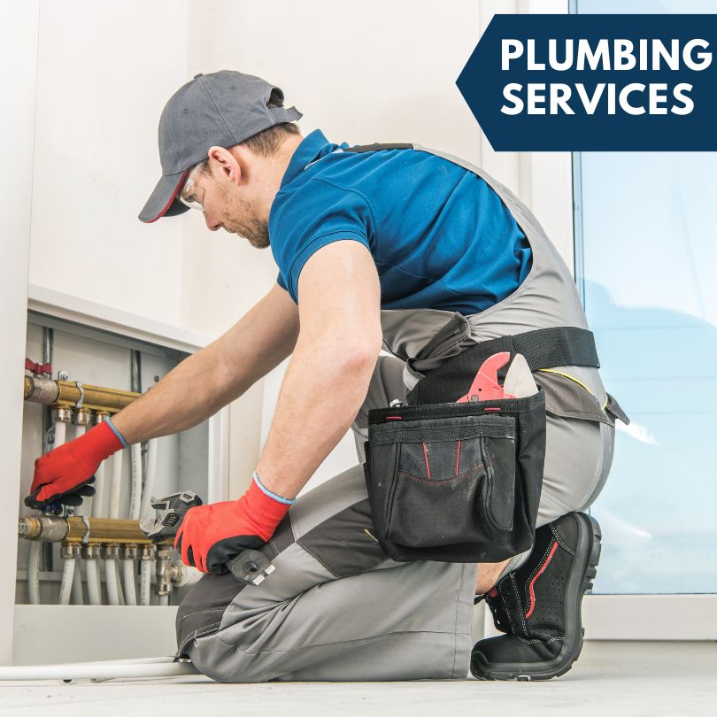 Carbondale Plumbing Company